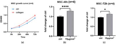 Investigating the efficacy of uncrosslinked porcine collagen coated vascular grafts for neointima formation and endothelialization